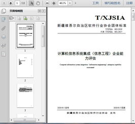 計(jì)算機(jī)信息系統(tǒng)集成服務(wù)及其企業(yè)能力評估